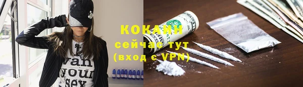 дживик Алексин